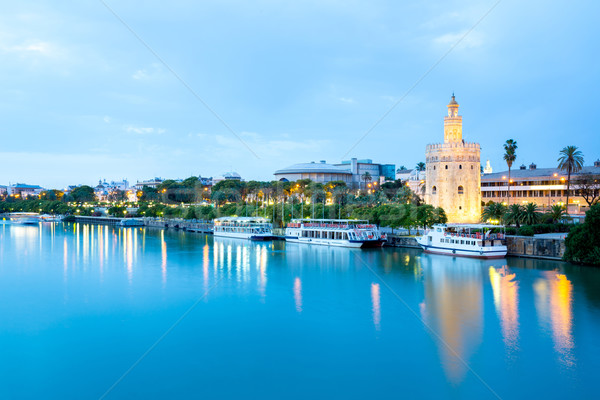 Golden Tower Seville, Spain Stock photo © vichie81