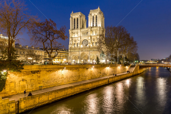 Paris Notre Dame Stock photo © vichie81