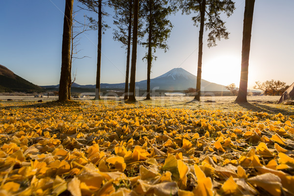 Mount Fuji zonsopgang sneeuw winter cool asia Stockfoto © vichie81