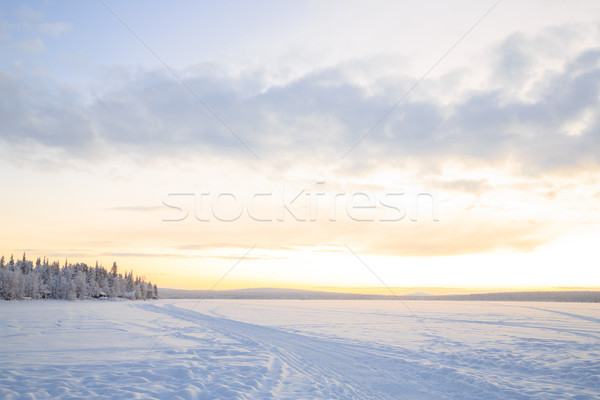 Sunrise inverno panorama Svezia cielo albero Foto d'archivio © vichie81