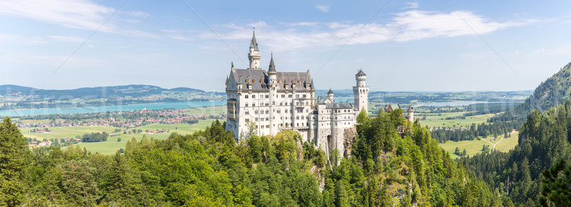 Neuschwanstein castle Stock photo © vichie81
