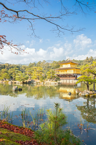 храма Киото Япония дерево саду Сток-фото © vichie81