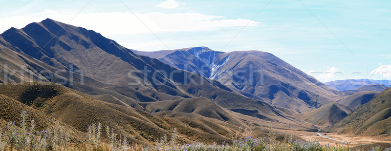Mountain Landscape Lindis Pass New Zealand Panorama Stock photo © vichie81