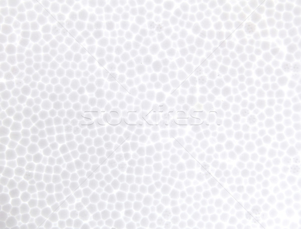 foam texture background Stock photo © vichie81