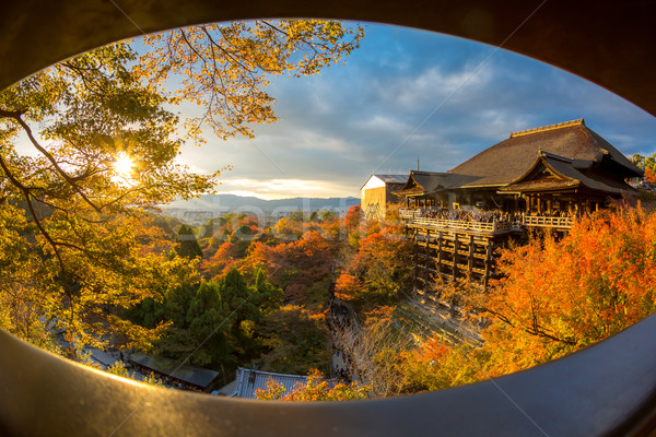 Tempio kyoto Giappone autunno japanese caduta Foto d'archivio © vichie81