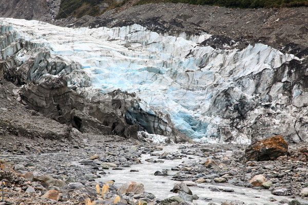 fox glacier in New Zealand Stock photo © vichie81