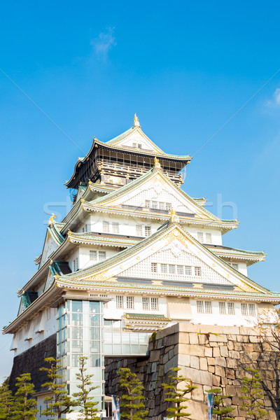 Osaka castillo otono edificio viaje parque Foto stock © vichie81