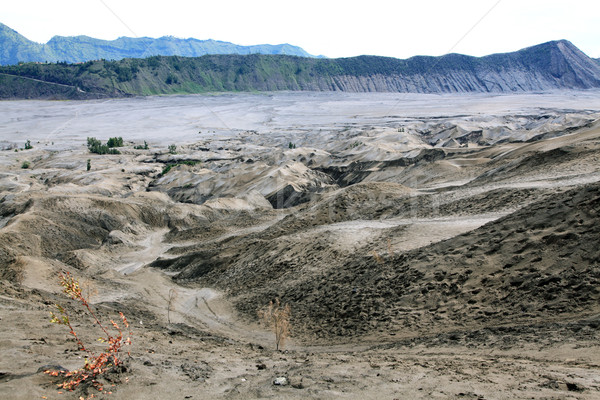 Bromo Volcano Desert Stock photo © vichie81