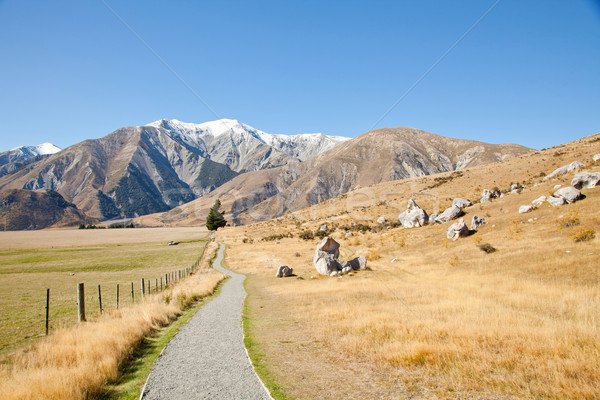 castle hill Arhur's Pass National Park New Zealnd Stock photo © vichie81