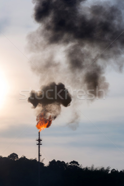 Pollution Stock photo © vichie81
