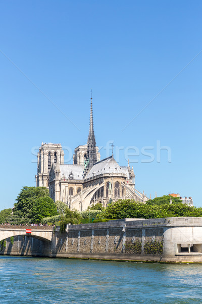 Cattedrale Parigi champagne fiume Francia Foto d'archivio © vichie81