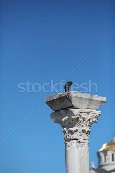 pigeon sitting on Part of a column of the Christian temple isola Stock photo © Victoria_Andreas