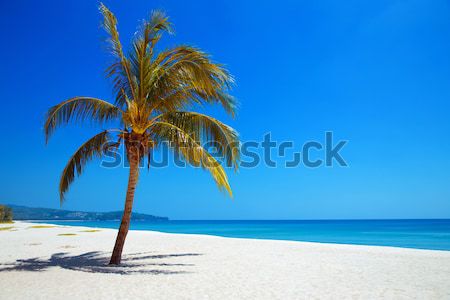 [[stock_photo]]: Libre · femme · nature · vue · plage · tropicale