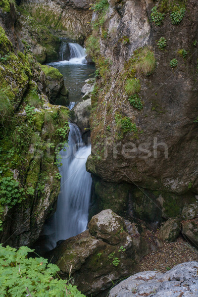 Cascada rocas naturaleza naturales hermosa cubierto Foto stock © vilevi