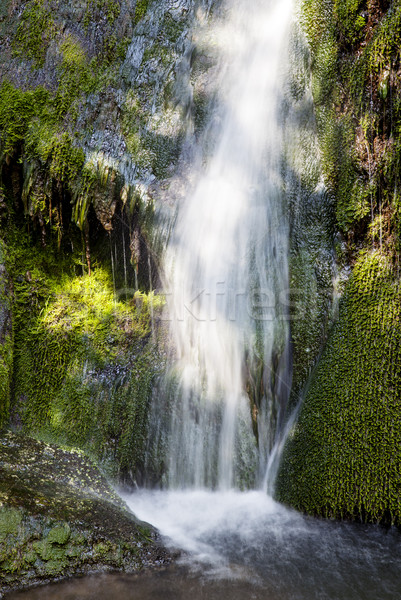 waterfall wallpaper motion Stock photo © vilevi