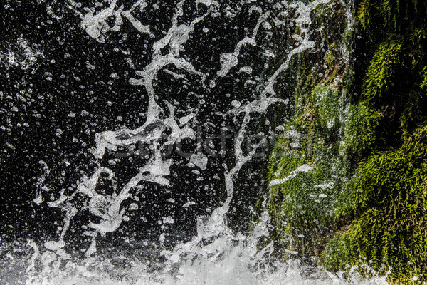 falling watter sparkling waterfall Stock photo © vilevi
