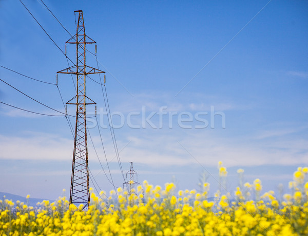 Stock photo: Power lines pylon field 