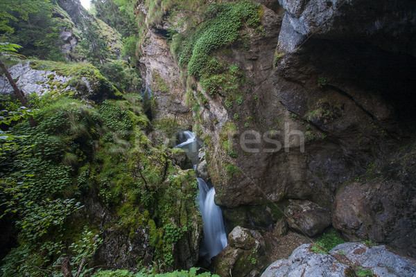 Cascada rocas naturaleza naturales hermosa cubierto Foto stock © vilevi