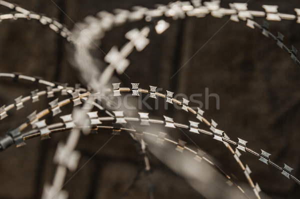 Navaja alambre cerca primer plano Rusty metal Foto stock © vilevi
