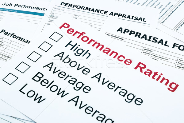 performance rating and appraisal form Stock photo © vinnstock