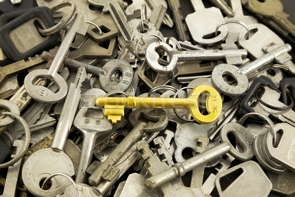 gold skeleton key and old metal keys  Stock photo © vinnstock