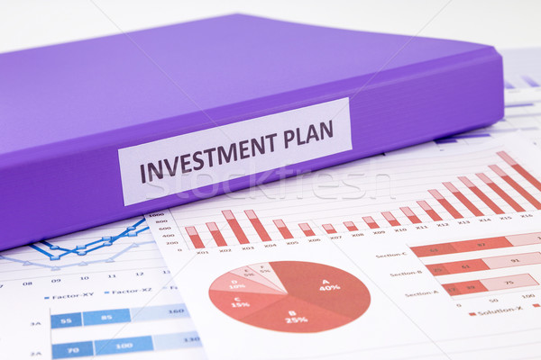 Investment plan and financial graph analysis  Stock photo © vinnstock