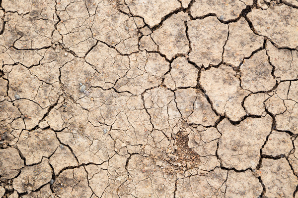 Stock photo: dry soil texture background