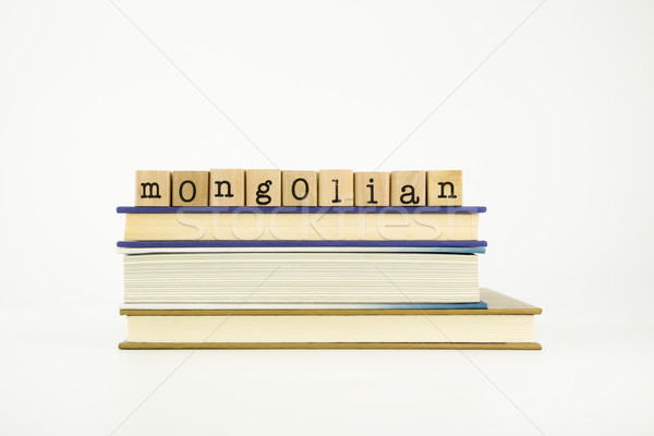 mongolian language word on wood stamps and books Stock photo © vinnstock