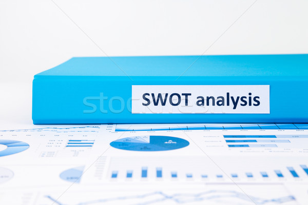 Evaluate and planning projects with SWOT analysis and business g Stock photo © vinnstock