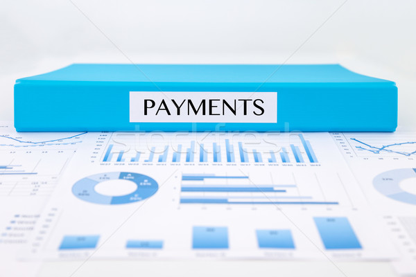 Payments documents, graph analysis and financial report Stock photo © vinnstock