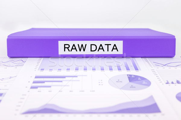 Nyers adat grafikonok táblázatok kutatás összefoglalás Stock fotó © vinnstock