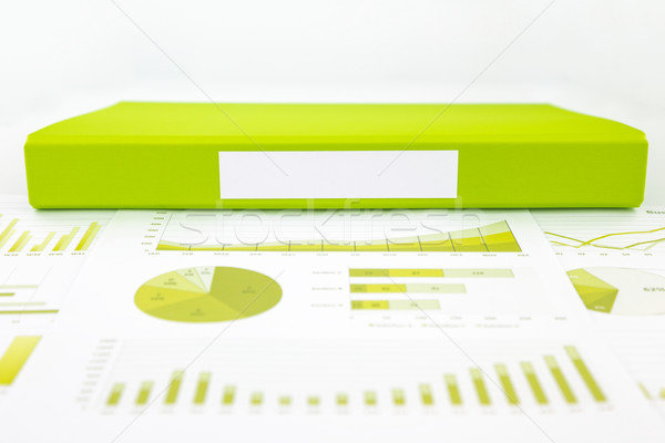 Blank green folder with analytic graph and educational reports Stock photo © vinnstock