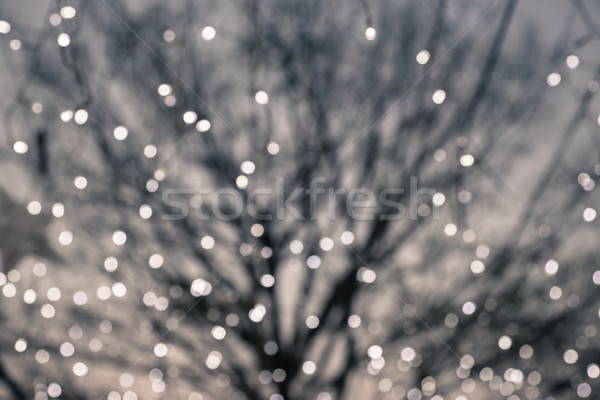 [[stock_photo]]: Floue · bokeh · lumières · feuillus · arbre · rétro