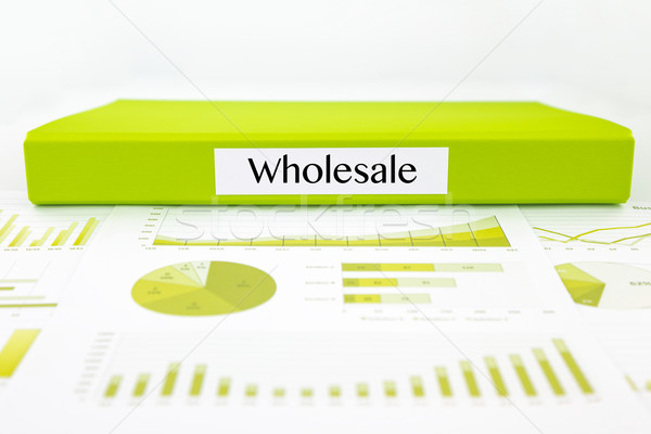 Wholesale documents, graphs analysis and marketing report Stock photo © vinnstock