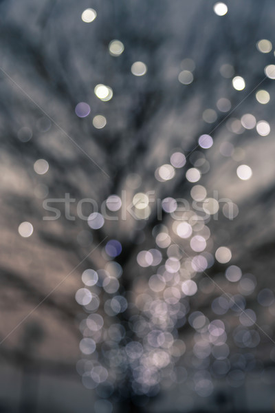 Noite luzes decídua árvore retro vintage Foto stock © vinnstock