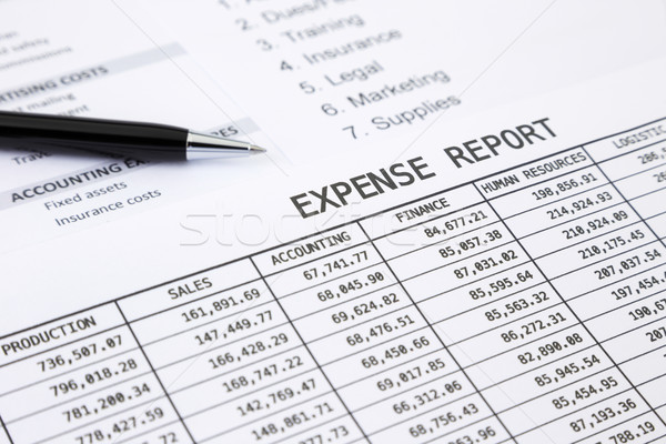 Annual expense report Stock photo © vinnstock