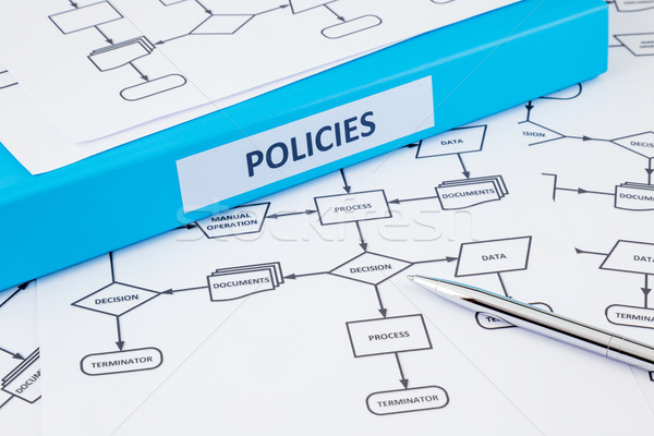 Business policies and strategic management Stock photo © vinnstock