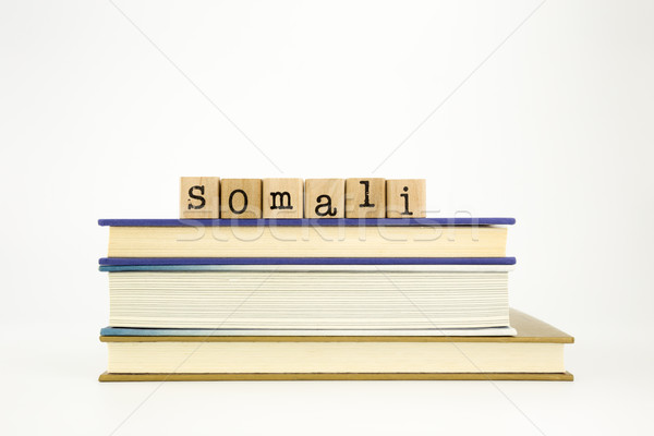 somali language word on wood stamps and books Stock photo © vinnstock