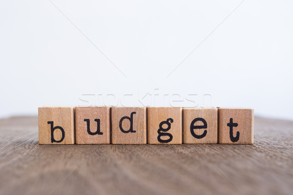 The word Budget, copy space background. Stock photo © vinnstock