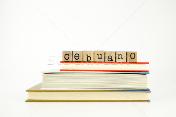 cebuano language word on wood stamps and books Stock photo © vinnstock