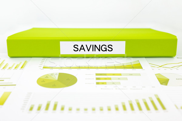 Savings documents, graphs and report summary for budget manageme Stock photo © vinnstock