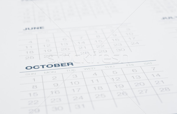 Kalender Termine Monate Timeline Seite Stock foto © vinnstock
