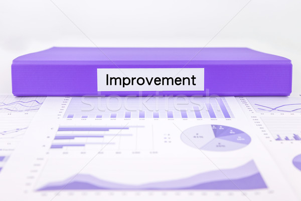 Verbesserung Beurteilung Dokumente Grafik Analyse lila Stock foto © vinnstock