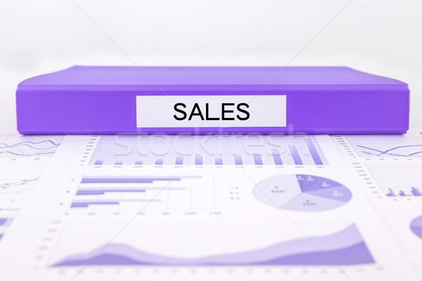 Sale reports and  marketing graph analysis of business income Stock photo © vinnstock