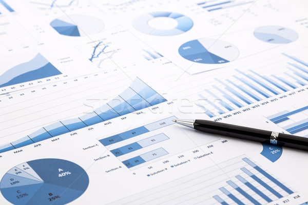 blue charts, graphs, data and reports  Stock photo © vinnstock