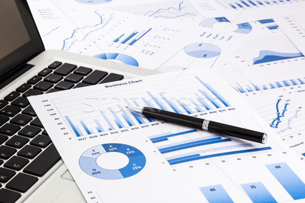 Laptop pen Blauw business charts grafieken Stockfoto © vinnstock