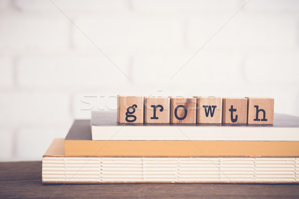 Wort Wachstum Kopie Raum führen Text Holz Stock foto © vinnstock