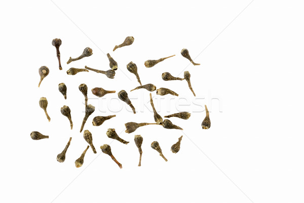 Java peper pijper voedsel asia zaad Stockfoto © vinodpillai