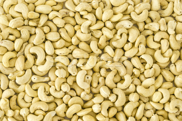 Cashew nuts Stock photo © vinodpillai