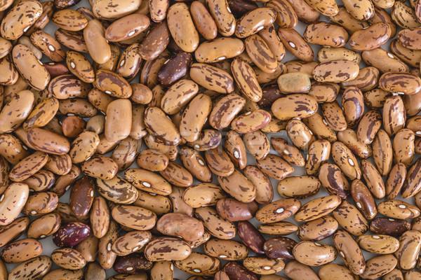 紅色 腎 豆類 食品 種子 橫 商業照片 © vinodpillai